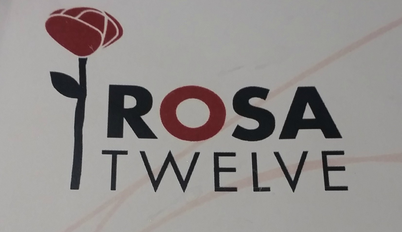 Rosa Twelve Review 2