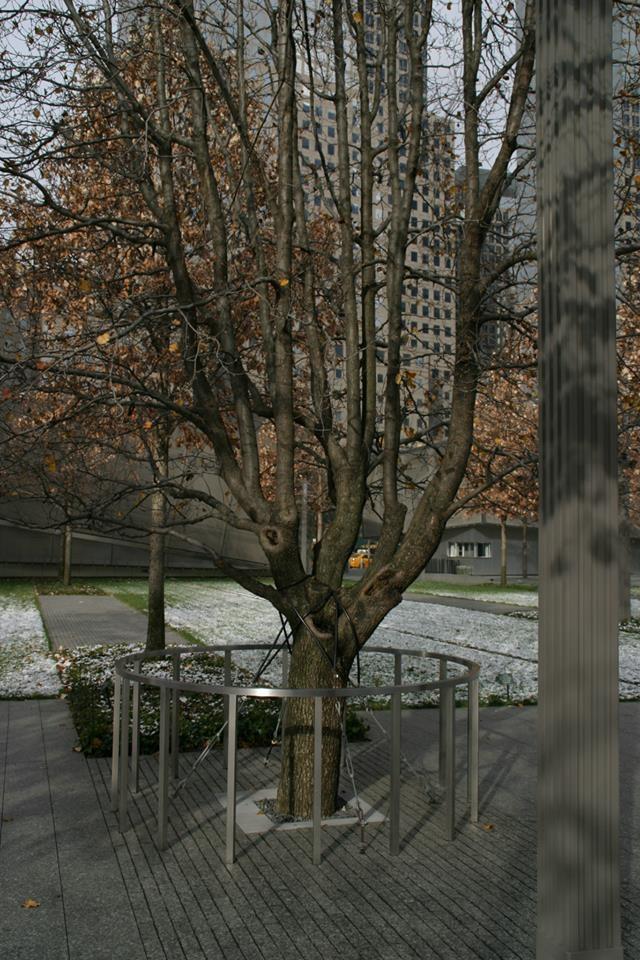 National 9/11 Memorial New York