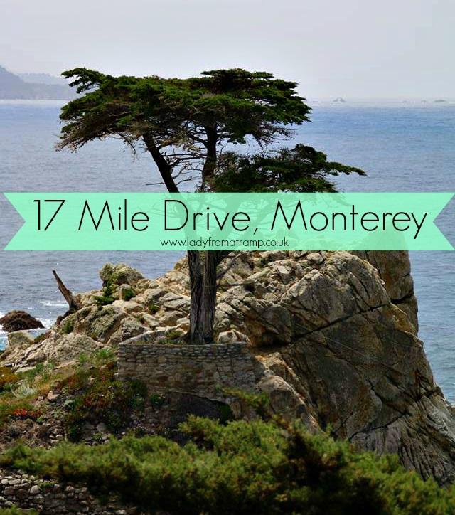17 Mile Drive Monterey California Pacific Coast Highway Road Trip
