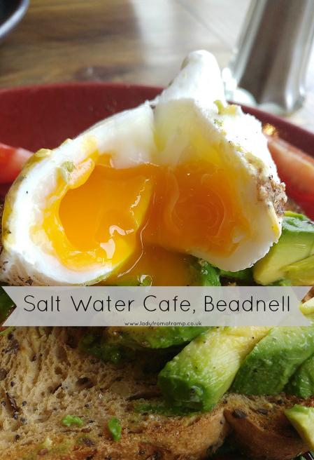 Salt Water Cafe Beadnell Review